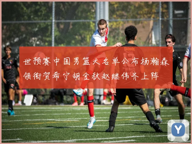 世预赛中国男篮大名单公布杨瀚森领衔贺希宁胡金秋赵继伟齐上阵